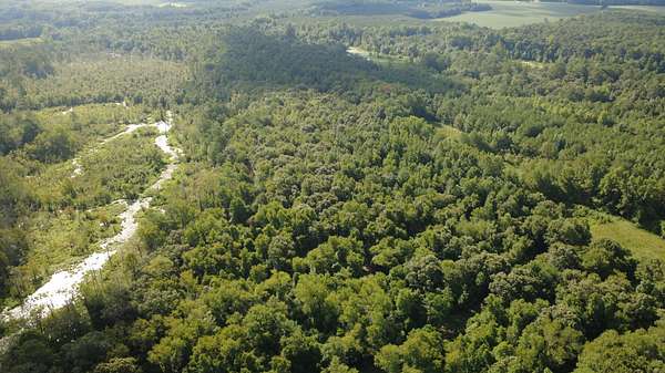 51.5 Acres of Recreational & Residential Land for Sale in Rose Hill, North Carolina