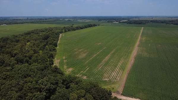 56 Acres of Agricultural Land for Sale in Clarendon, Arkansas