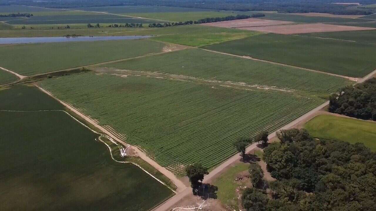60 Acres of Land for Sale in Holly Grove, Arkansas