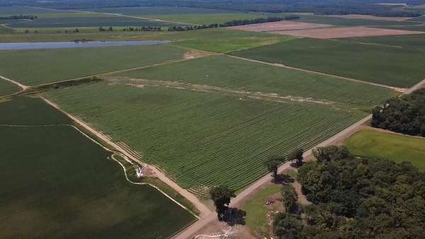 60 Acres of Land for Sale in Holly Grove, Arkansas
