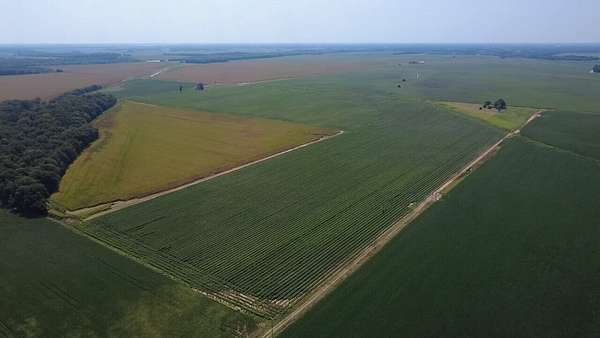 102 Acres of Agricultural Land for Sale in Holly Grove, Arkansas