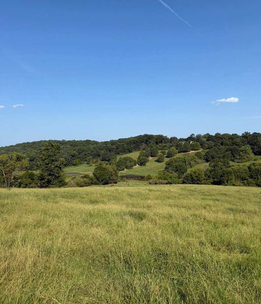 165 Acres of Land for Sale in Birmingham, Alabama