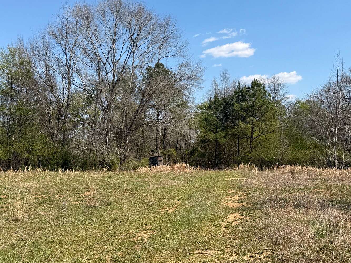 65.7 Acres of Recreational Land for Sale in Hubbertville, Alabama