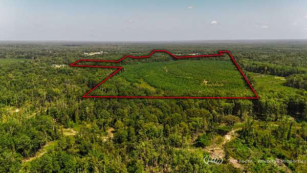 110 Acres of Recreational Land for Sale in Georgetown, Mississippi