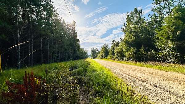 29 Acres of Recreational & Residential Land for Sale in Saluda, South Carolina