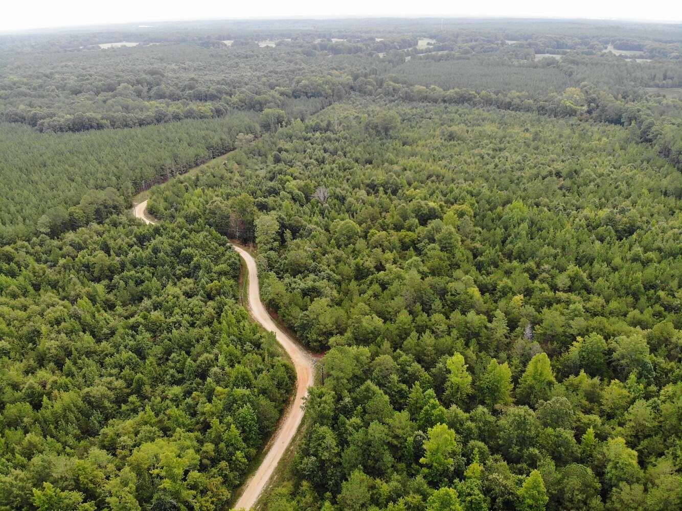 22.3 Acres of Recreational & Residential Land for Sale in Saluda, South Carolina