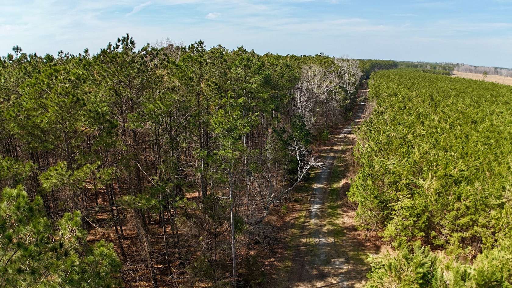 84 Acres of Recreational Land for Sale in Cofield, North Carolina