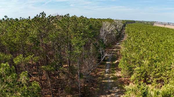 84 Acres of Recreational Land for Sale in Cofield, North Carolina