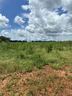 44 Acres of Land for Sale in Daleville, Alabama