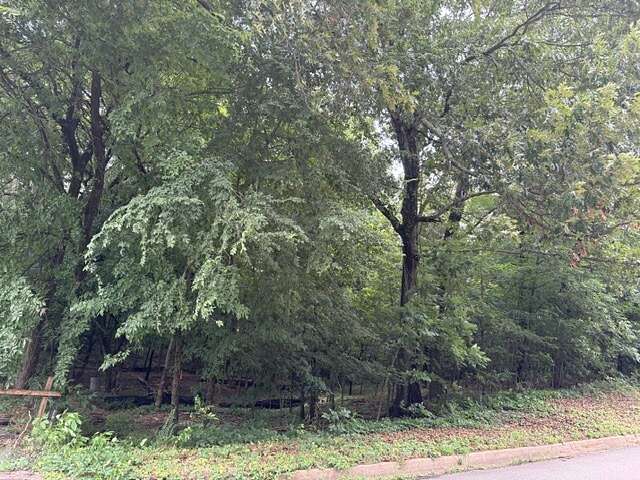 0.25 Acres of Residential Land for Auction in Jonesboro, Arkansas