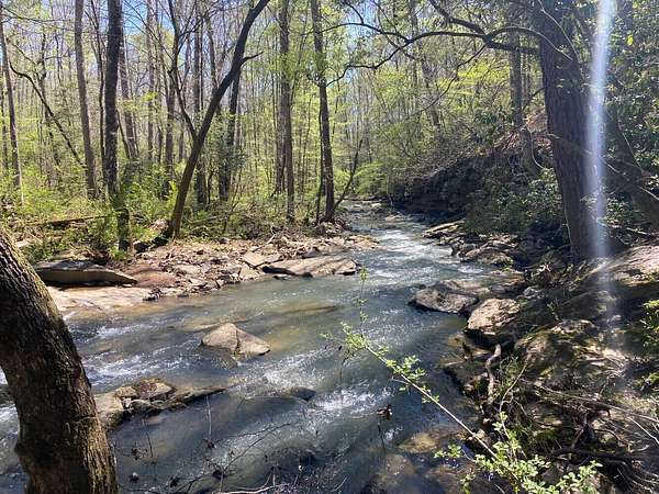 81 Acres of Recreational & Residential Land for Sale in Cullman, Alabama