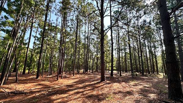 39.7 Acres of Recreational & Residential Land for Sale in Hartsville, South Carolina