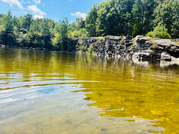 54 Acres of Recreational & Residential Land for Sale in LaGrange, Georgia