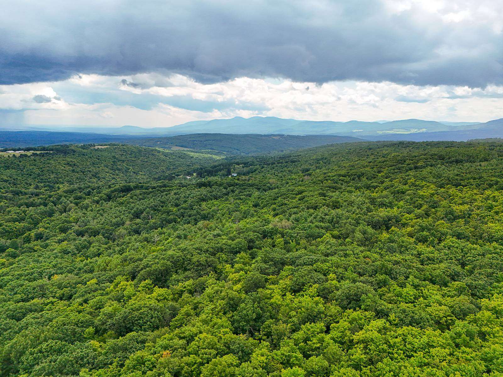 59.5 Acres of Recreational & Residential Land for Sale in Preston Hollow, New York