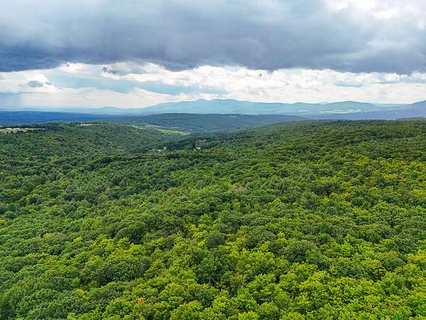 59.5 Acres of Recreational & Residential Land for Sale in Preston Hollow, New York