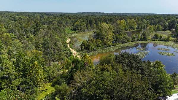 100 Acres of Land for Sale in Medon, Tennessee