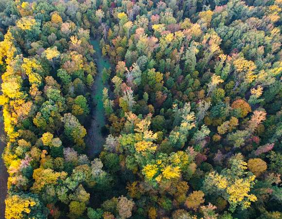 40 Acres of Land for Sale in Thebes, Illinois