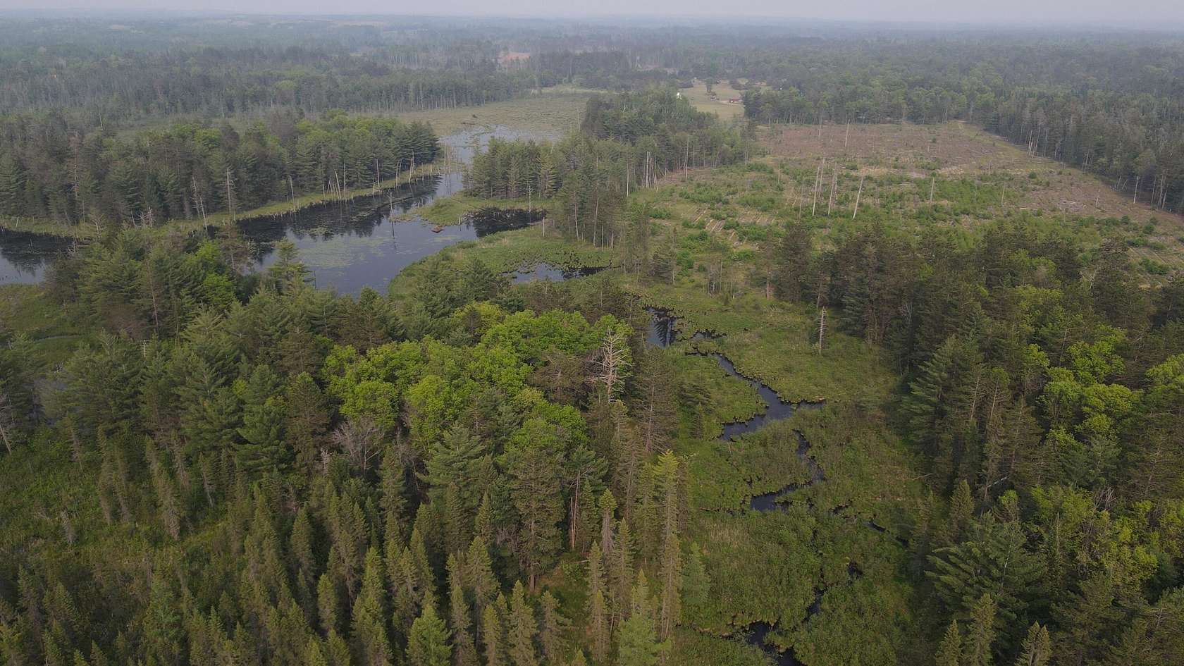 49.6 Acres of Recreational Land for Sale in Grayling, Michigan