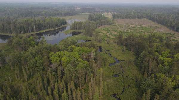 49.6 Acres of Recreational Land for Sale in Grayling, Michigan