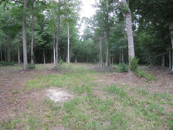109 Acres of Recreational Land for Sale in North, South Carolina