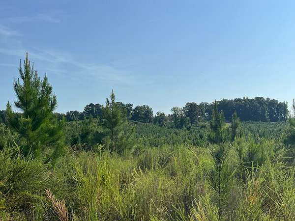 100 Acres of Land for Sale in Reform, Alabama