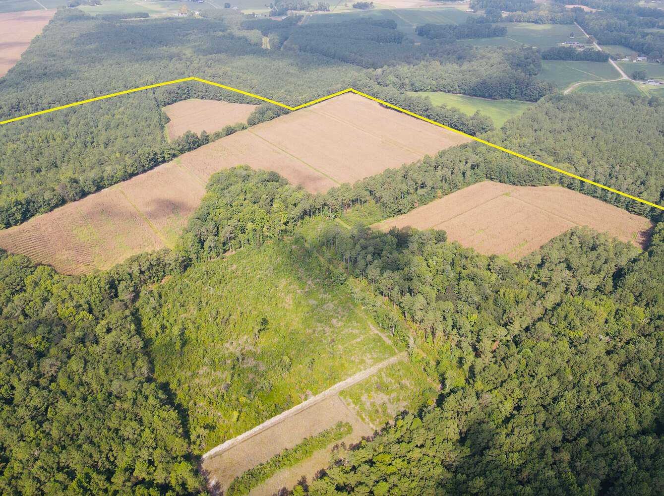 127 Acres of Land for Sale in Cerro Gordo, North Carolina