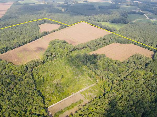 127 Acres of Land for Sale in Cerro Gordo, North Carolina