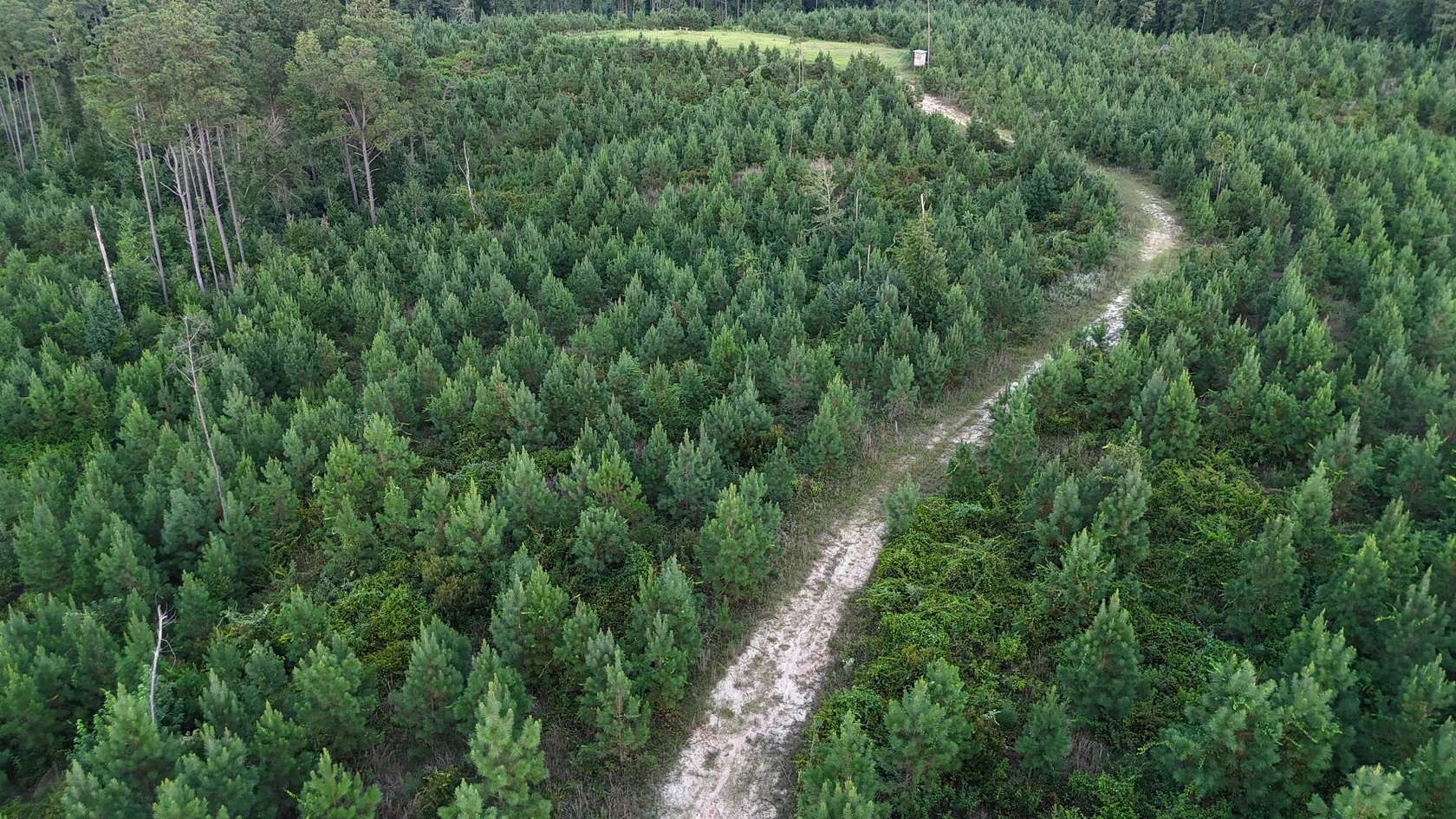 197 Acres of Recreational Land for Sale in Lauderdale, Mississippi