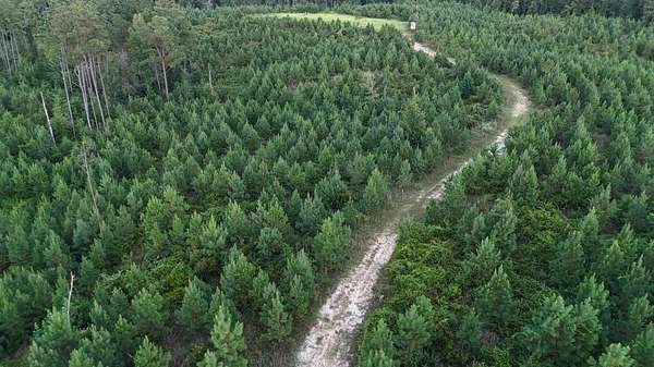 197 Acres of Recreational Land for Sale in Lauderdale, Mississippi