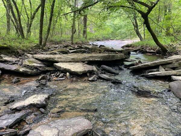 32 Acres of Recreational Land for Sale in Warrior, Alabama