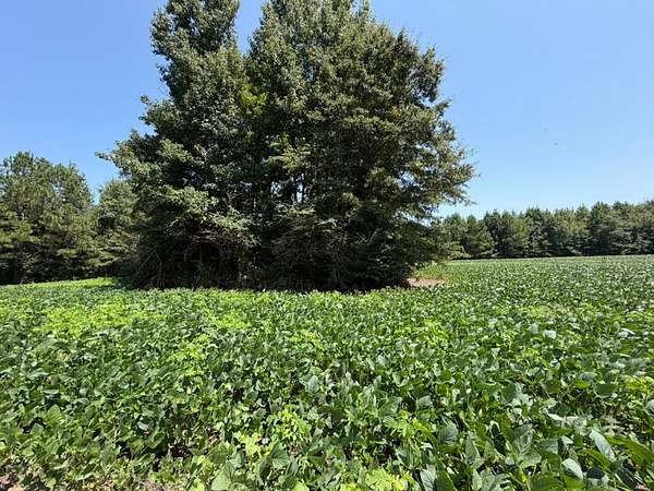 9.8 Acres of Land for Sale in Bishopville, South Carolina