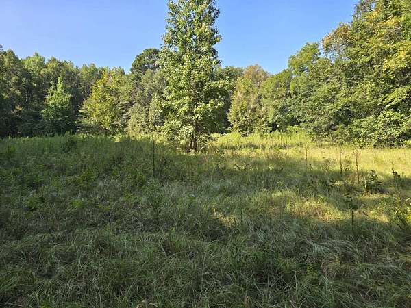 9 Acres of Land for Sale in Converse, Louisiana