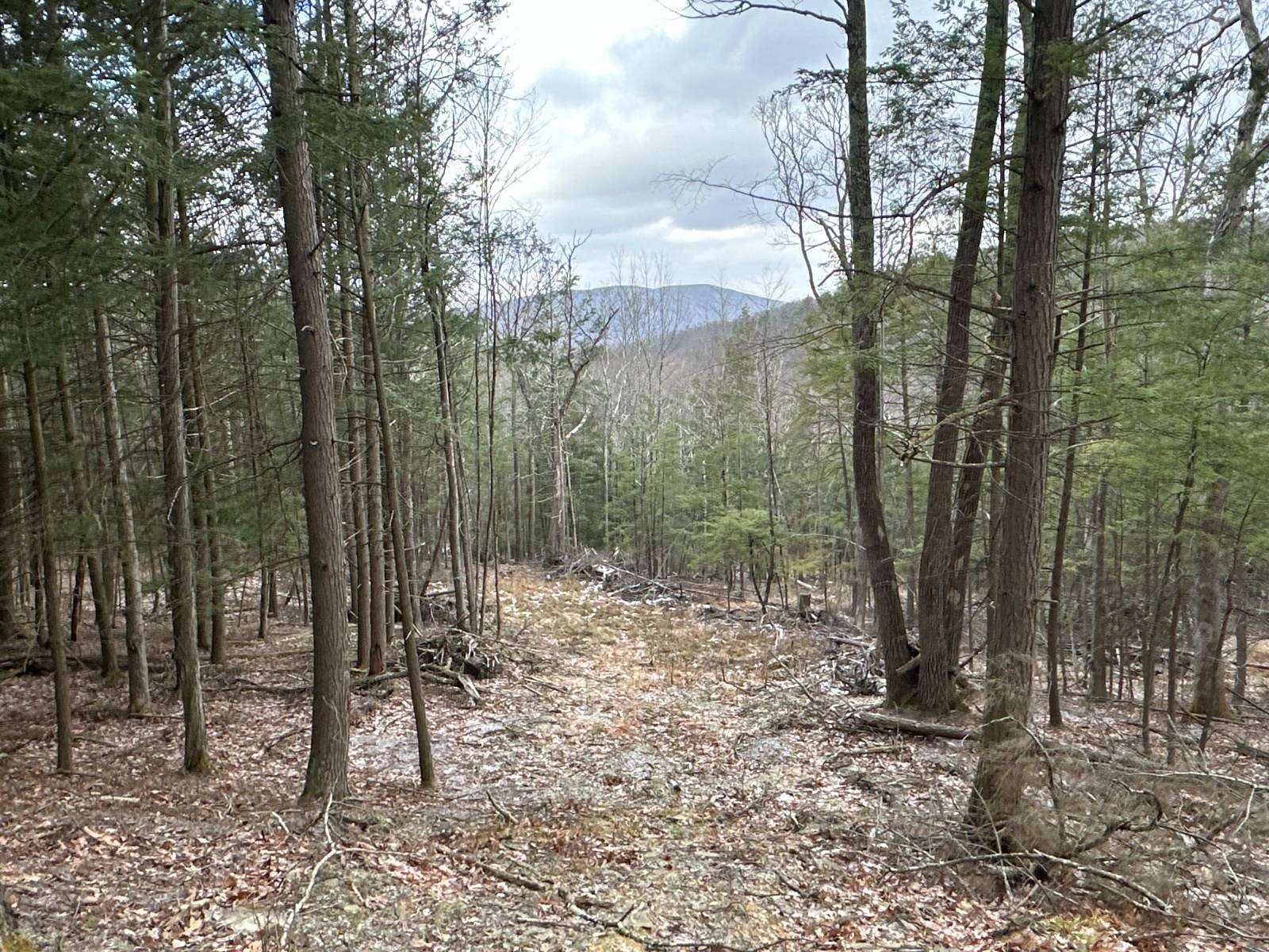 51.7 Acres of Recreational & Residential Land for Sale in Middleburgh, New York