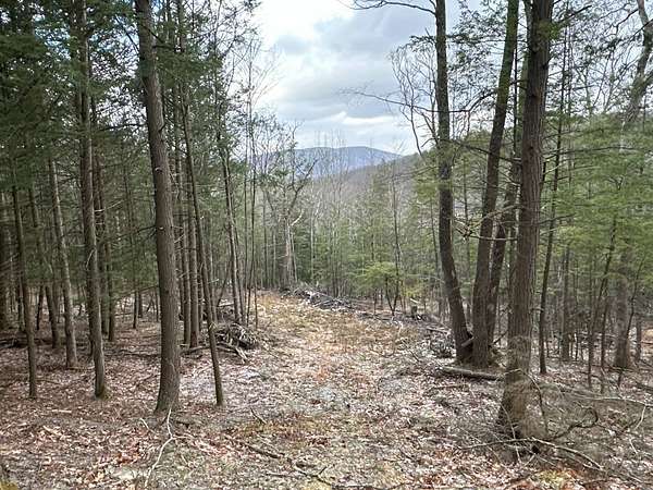 51.7 Acres of Recreational & Residential Land for Sale in Middleburgh, New York
