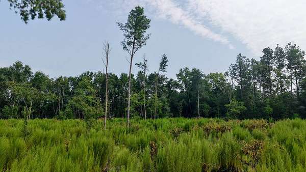 4.88 Acres of Residential Land for Sale in St. Matthews, South Carolina