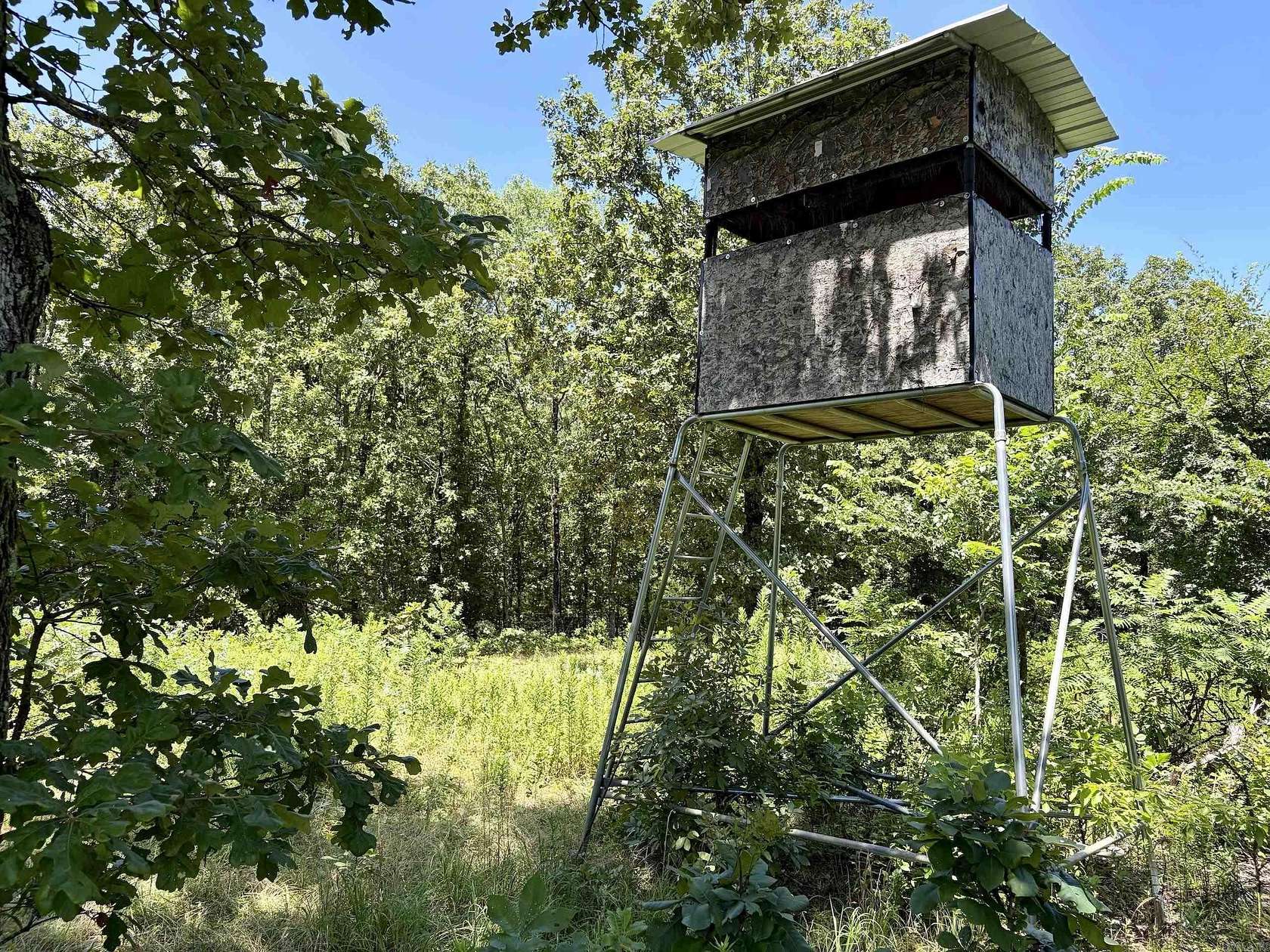 42.8 Acres of Recreational Land for Sale in Ola, Arkansas