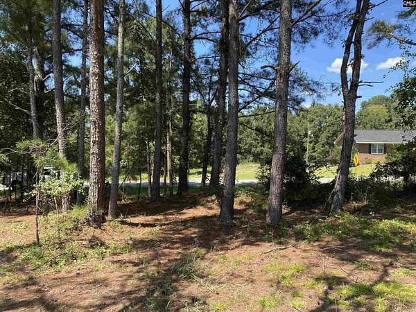 3.4 Acres of Residential Land for Sale in Prosperity, South Carolina
