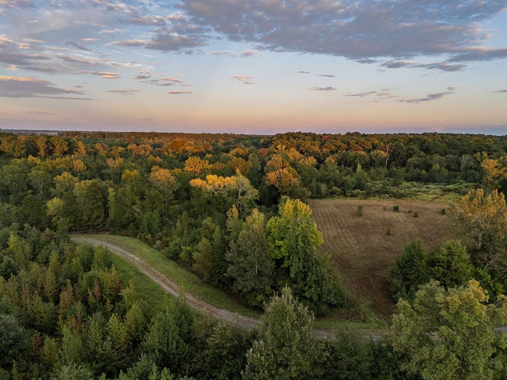 206 Acres of Land for Sale in Karnack, Texas