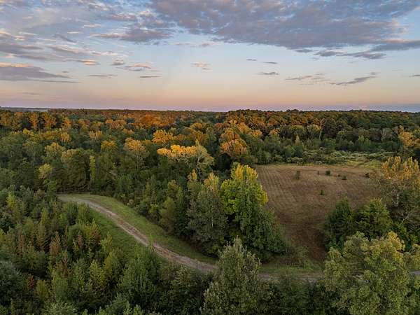 206 Acres of Land for Sale in Karnack, Texas