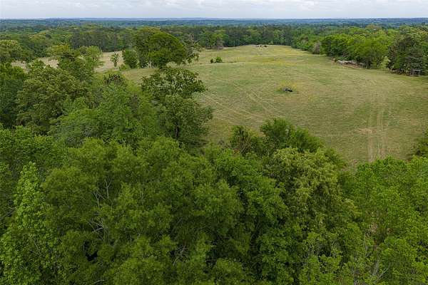 31 Acres of Land for Sale in Jacksonville, Texas