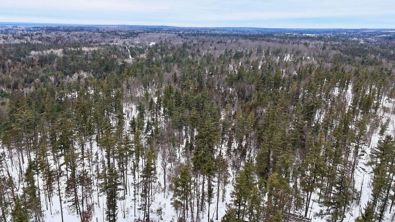 117 Acres of Recreational Land with Home for Sale in Lewiston, Michigan