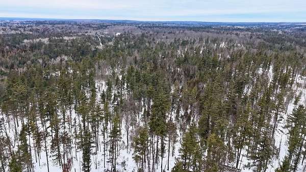 117 Acres of Recreational Land with Home for Sale in Lewiston, Michigan
