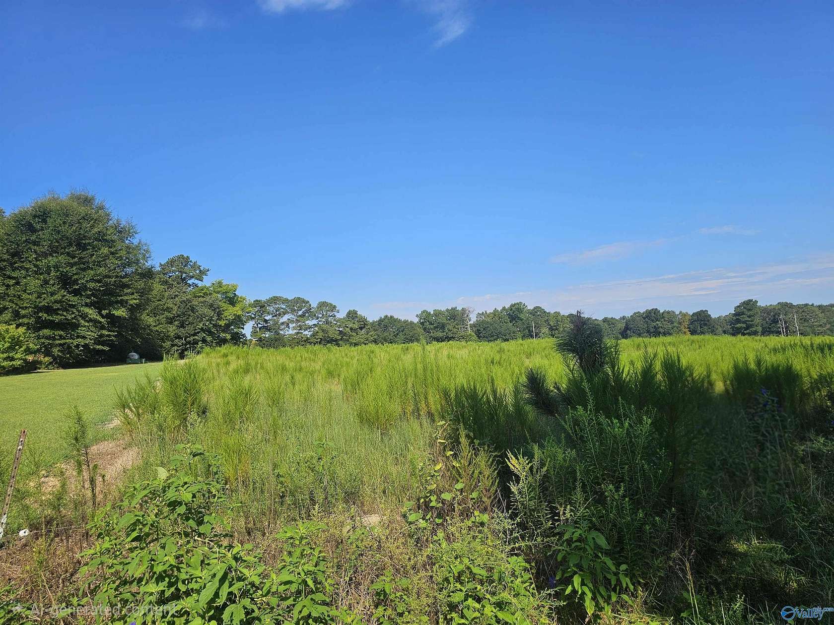 23.2 Acres of Agricultural & Residential Land for Sale in Arab, Alabama