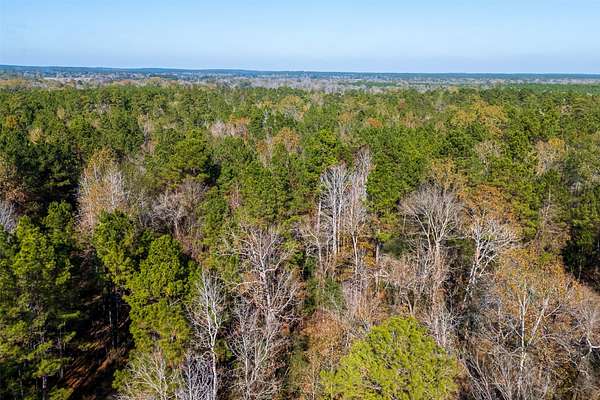 51.5 Acres of Recreational & Residential Land for Sale in Kennard, Texas