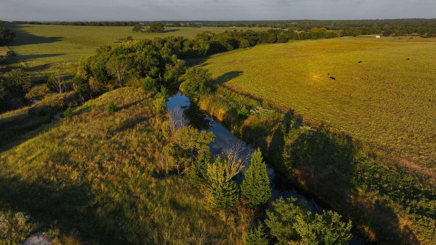 144 Acres of Land for Sale in Montague, Texas
