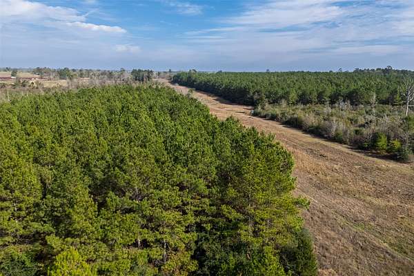 86.5 Acres of Recreational Land for Sale in Center, Texas