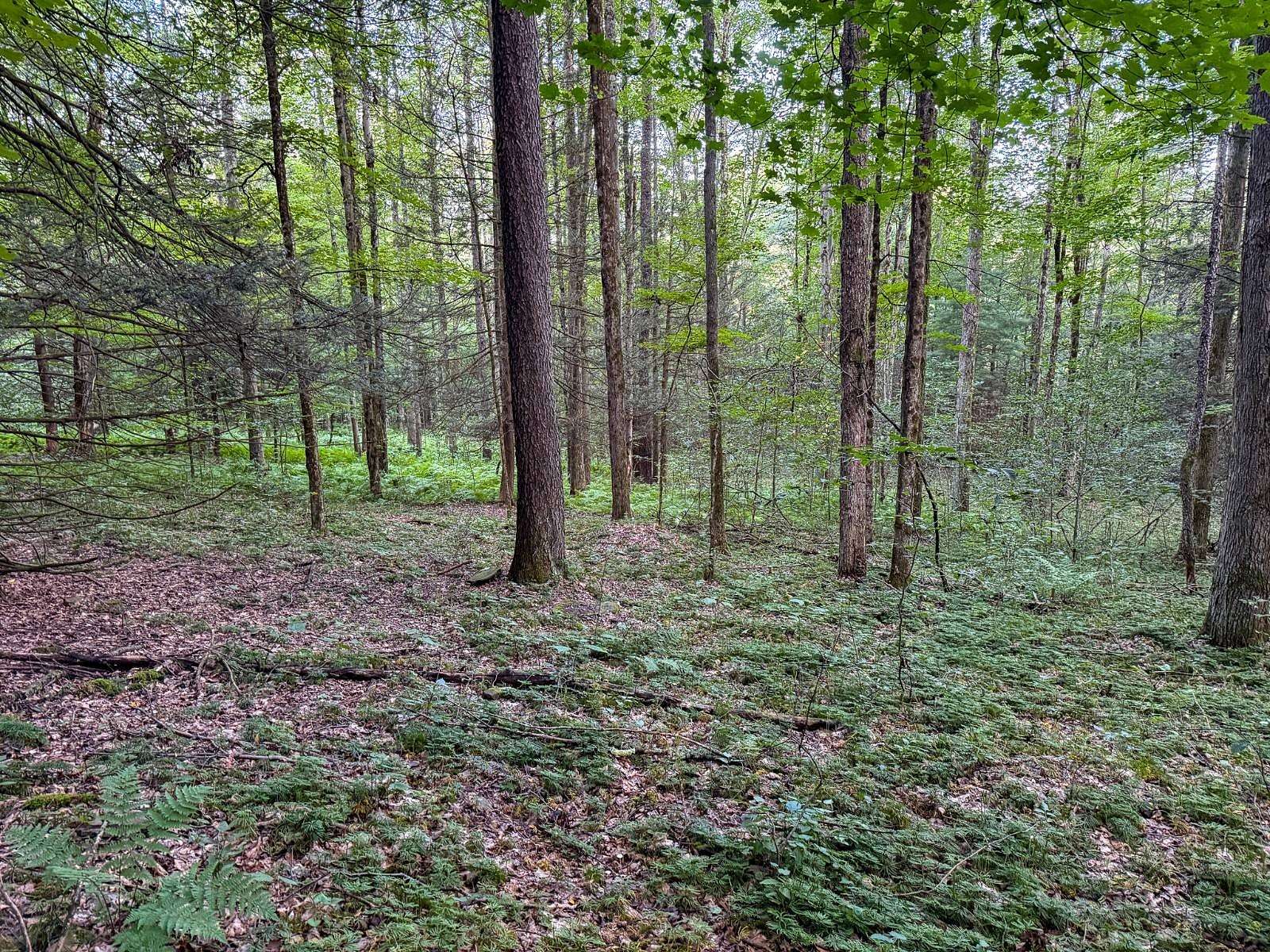 4 Acres of Land for Sale in Friendsville, Pennsylvania