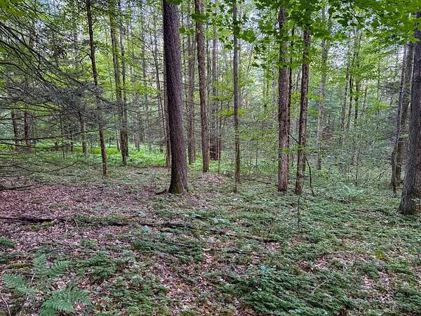 4 Acres of Land for Sale in Friendsville, Pennsylvania