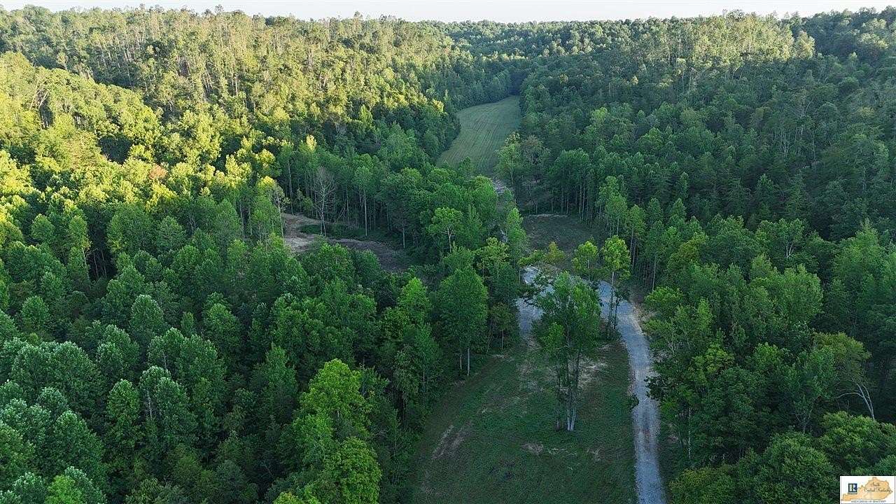 113 Acres of Recreational Land for Sale in Campbellsville, Kentucky