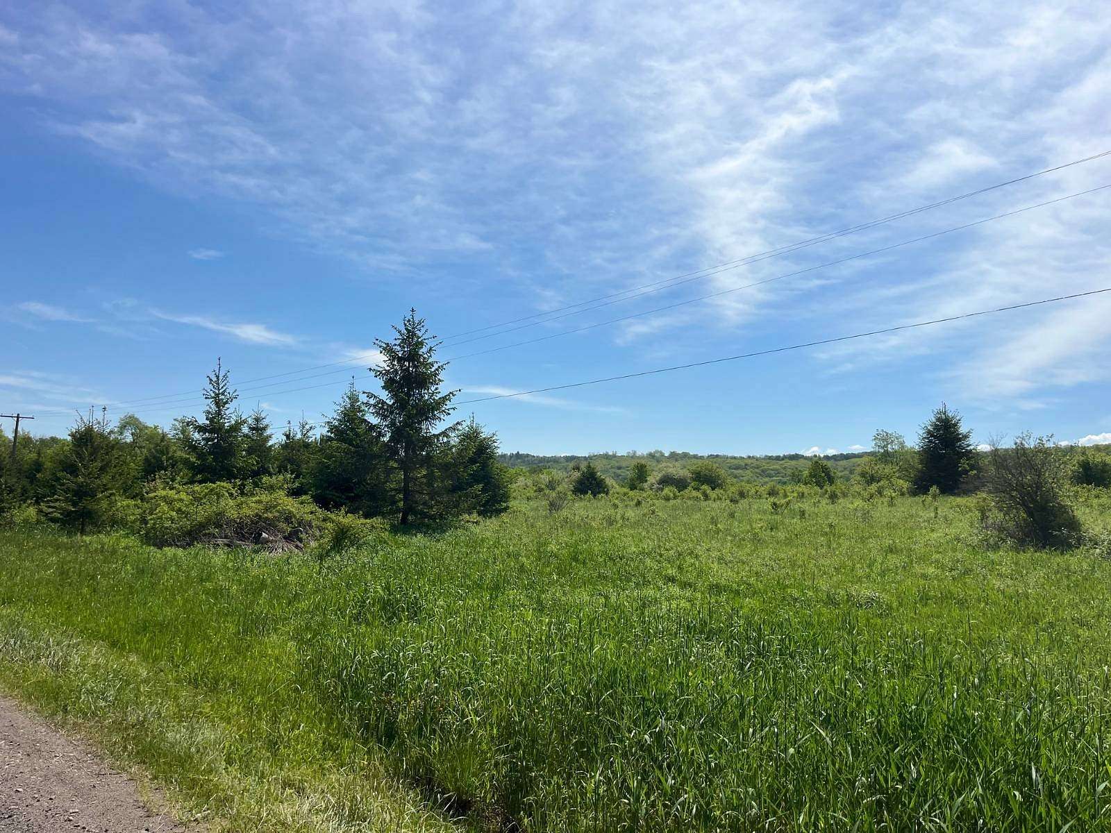 20 Acres of Land for Sale in Farmersville Station, New York